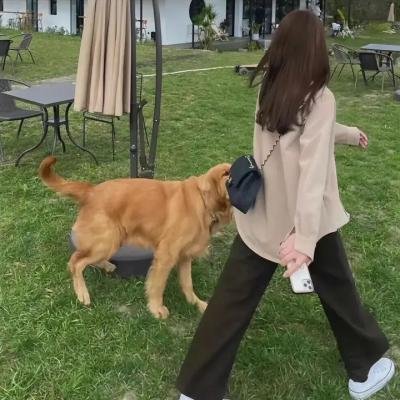 黑暗中的吟唱