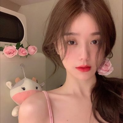 飞机总动员：打火英雄